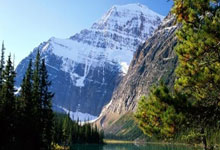  明尼苏达森林狼23号 